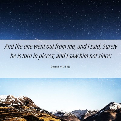 Picture 06 - Genesis 44:28 KJV - And the one went out from me, and I said, Surely - Bible Verse Picture
