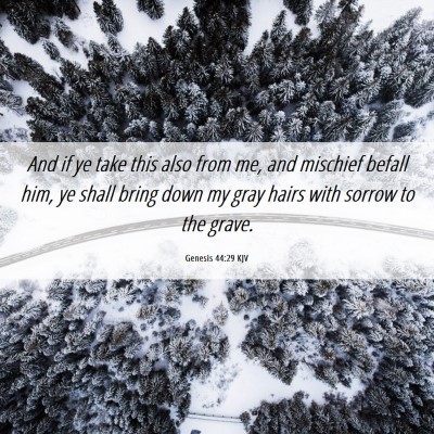 Picture 06 - Genesis 44:29 KJV - And if ye take this also from me, and mischief - Bible Verse Picture