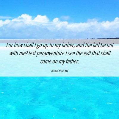 Picture 06 - Genesis 44:34 KJV - For how shall I go up to my father, and the lad - Bible Verse Picture