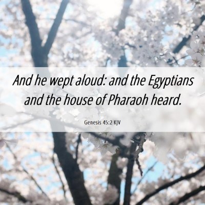 Picture 06 - Genesis 45:2 KJV - And he wept aloud: and the Egyptians and the - Bible Verse Picture