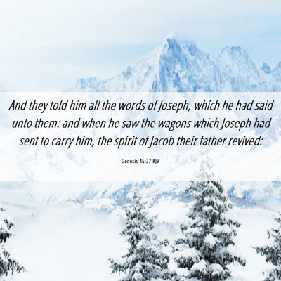 Picture 06 - Genesis 45:27 KJV - And they told him all the words of Joseph, which - Bible Verse Picture