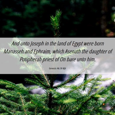 Picture 06 - Genesis 46:20 KJV - And unto Joseph in the land of Egypt were born - Bible Verse Picture