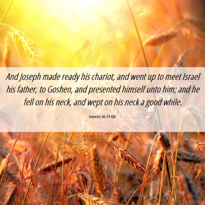 Picture 06 - Genesis 46:29 KJV - And Joseph made ready his chariot, and went up to - Bible Verse Picture