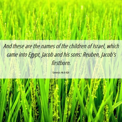 Picture 06 - Genesis 46:8 KJV - And these are the names of the children of - Bible Verse Picture
