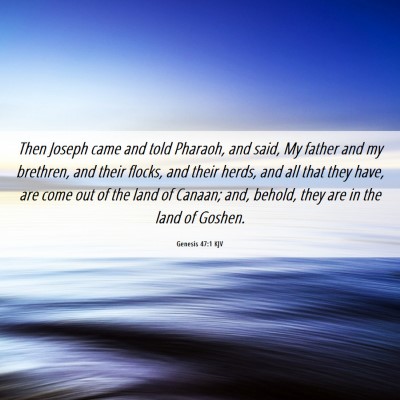 Picture 06 - Genesis 47:1 KJV - Then Joseph came and told Pharaoh, and said, My - Bible Verse Picture