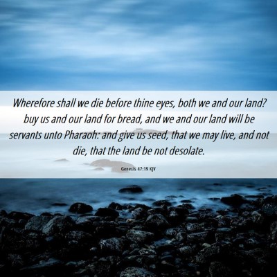 Picture 06 - Genesis 47:19 KJV - Wherefore shall we die before thine eyes, both we - Bible Verse Picture
