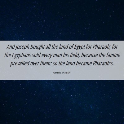 Picture 06 - Genesis 47:20 KJV - And Joseph bought all the land of Egypt for - Bible Verse Picture