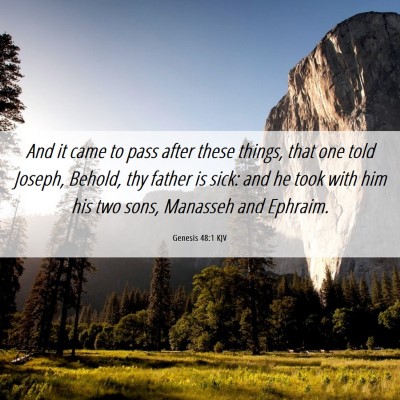 Picture 06 - Genesis 48:1 KJV - And it came to pass after these things, that one - Bible Verse Picture