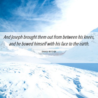 Picture 06 - Genesis 48:12 KJV - And Joseph brought them out from between his - Bible Verse Picture