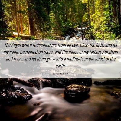Picture 06 - Genesis 48:16 KJV - The Angel which redeemed me from all evil, bless - Bible Verse Picture
