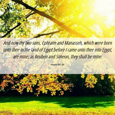Picture 06 - Genesis 48:5 KJV - And now thy two sons, Ephraim and Manasseh, which - Bible Verse Picture