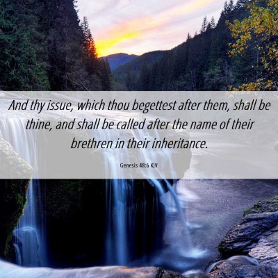 Picture 06 - Genesis 48:6 KJV - And thy issue, which thou begettest after them, - Bible Verse Picture