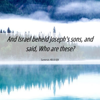Picture 06 - Genesis 48:8 KJV - And Israel beheld Joseph's sons, and said, Who - Bible Verse Picture