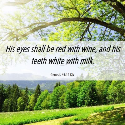 Picture 06 - Genesis 49:12 KJV - His eyes shall be red with wine, and his teeth - Bible Verse Picture