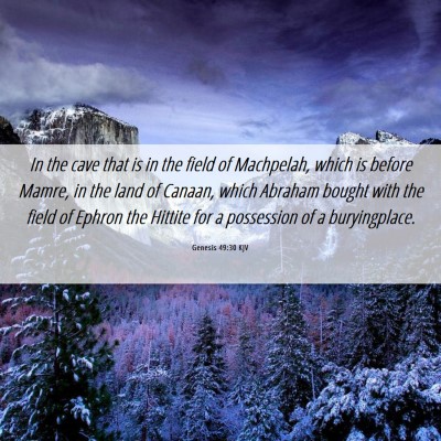 Picture 06 - Genesis 49:30 KJV - In the cave that is in the field of Machpelah, - Bible Verse Picture