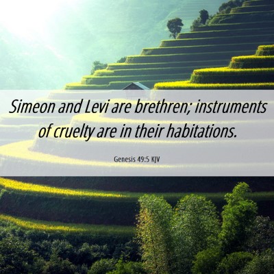 Picture 06 - Genesis 49:5 KJV - Simeon and Levi are brethren; instruments of - Bible Verse Picture