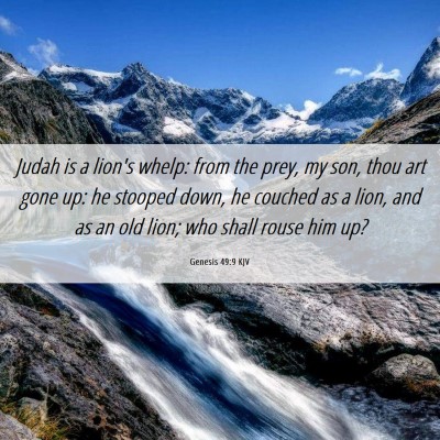 Picture 06 - Genesis 49:9 KJV - Judah is a lion's whelp: from the prey, my son, - Bible Verse Picture