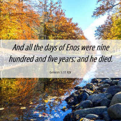 Picture 06 - Genesis 5:11 KJV - And all the days of Enos were nine hundred and - Bible Verse Picture