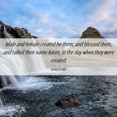 Picture 06 - Genesis 5:2 KJV - Male and female created he them; and blessed - Bible Verse Picture