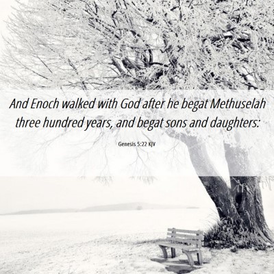 Picture 06 - Genesis 5:22 KJV - And Enoch walked with God after he begat - Bible Verse Picture