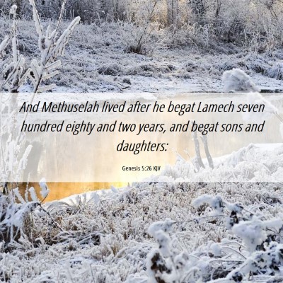 Picture 06 - Genesis 5:26 KJV - And Methuselah lived after he begat Lamech seven - Bible Verse Picture
