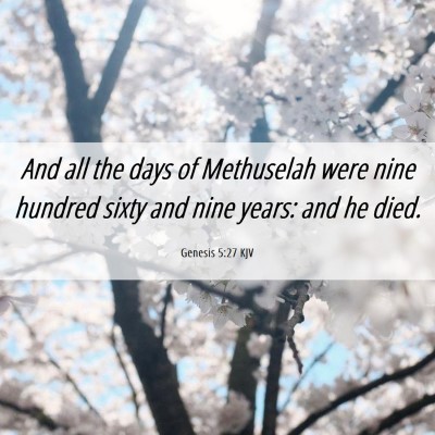 Picture 06 - Genesis 5:27 KJV - And all the days of Methuselah were nine hundred - Bible Verse Picture