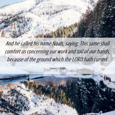 Picture 06 - Genesis 5:29 KJV - And he called his name Noah, saying, This same - Bible Verse Picture