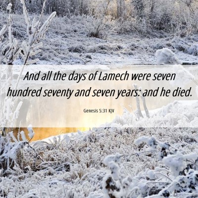 Picture 06 - Genesis 5:31 KJV - And all the days of Lamech were seven hundred - Bible Verse Picture