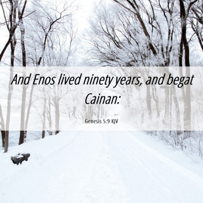 Picture 06 - Genesis 5:9 KJV - And Enos lived ninety years, and begat - Bible Verse Picture