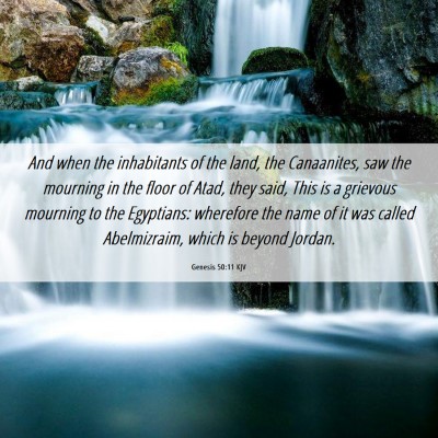 Picture 06 - Genesis 50:11 KJV - And when the inhabitants of the land, the - Bible Verse Picture