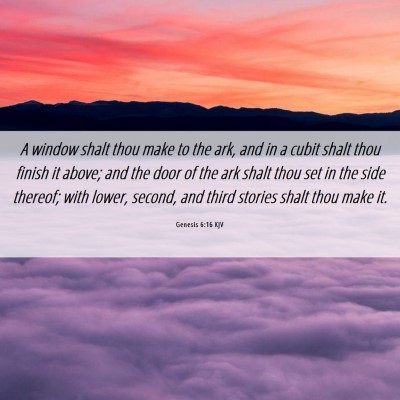 Picture 06 - Genesis 6:16 KJV - A window shalt thou make to the ark, and in a - Bible Verse Picture
