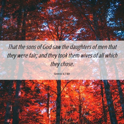 Picture 06 - Genesis 6:2 KJV - That the sons of God saw the daughters of men - Bible Verse Picture
