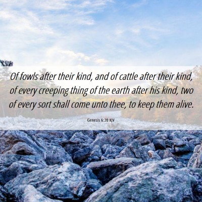 Picture 06 - Genesis 6:20 KJV - Of fowls after their kind, and of cattle after - Bible Verse Picture