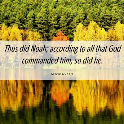 Picture 06 - Genesis 6:22 KJV - Thus did Noah; according to all that God - Bible Verse Picture