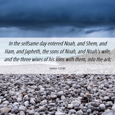 Picture 06 - Genesis 7:13 KJV - In the selfsame day entered Noah, and Shem, and - Bible Verse Picture