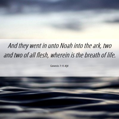 Picture 06 - Genesis 7:15 KJV - And they went in unto Noah into the ark, two and - Bible Verse Picture