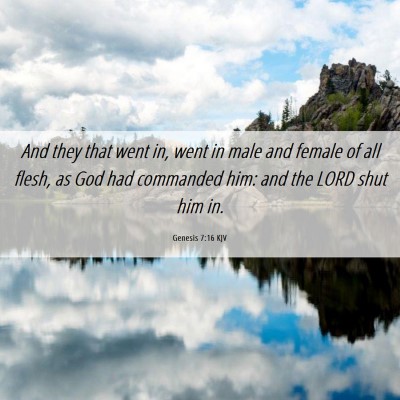 Picture 06 - Genesis 7:16 KJV - And they that went in, went in male and female of - Bible Verse Picture