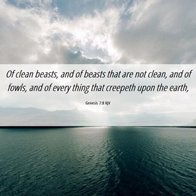 Picture 06 - Genesis 7:8 KJV - Of clean beasts, and of beasts that are not - Bible Verse Picture