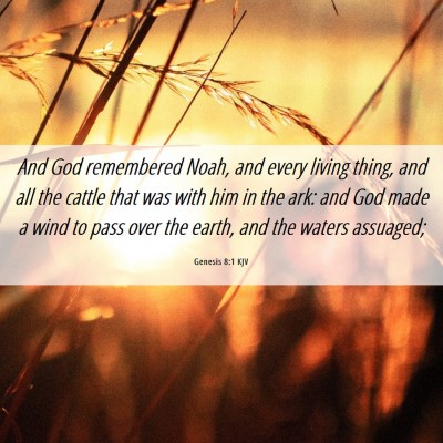 Picture 06 - Genesis 8:1 KJV - And God remembered Noah, and every living thing, - Bible Verse Picture