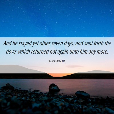 Picture 06 - Genesis 8:12 KJV - And he stayed yet other seven days; and sent - Bible Verse Picture