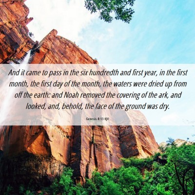 Picture 06 - Genesis 8:13 KJV - And it came to pass in the six hundredth and - Bible Verse Picture