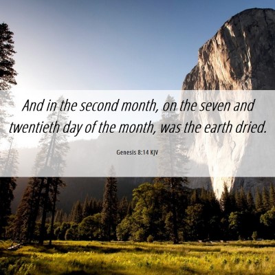 Picture 06 - Genesis 8:14 KJV - And in the second month, on the seven and - Bible Verse Picture