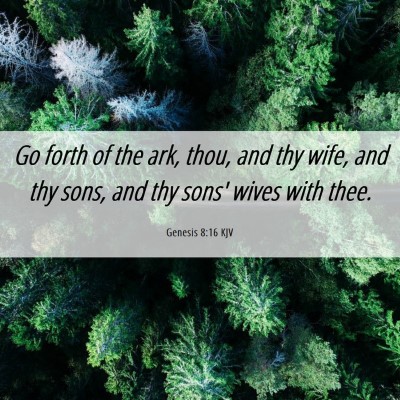 Picture 06 - Genesis 8:16 KJV - Go forth of the ark, thou, and thy wife, and thy - Bible Verse Picture