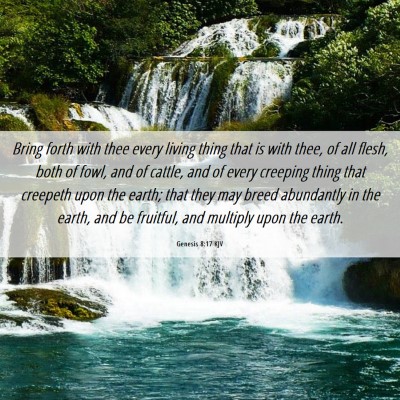 Picture 06 - Genesis 8:17 KJV - Bring forth with thee every living thing that is - Bible Verse Picture
