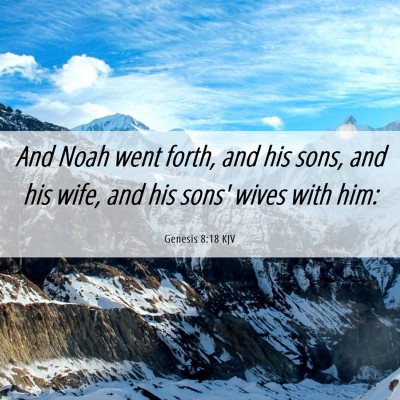 Picture 06 - Genesis 8:18 KJV - And Noah went forth, and his sons, and his wife, - Bible Verse Picture