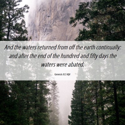 Picture 06 - Genesis 8:3 KJV - And the waters returned from off the earth - Bible Verse Picture
