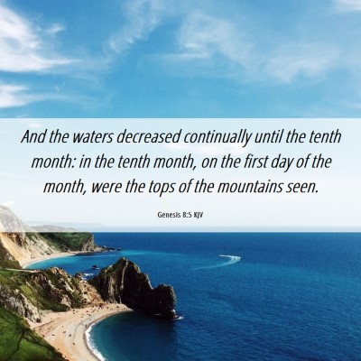 Picture 06 - Genesis 8:5 KJV - And the waters decreased continually until the - Bible Verse Picture