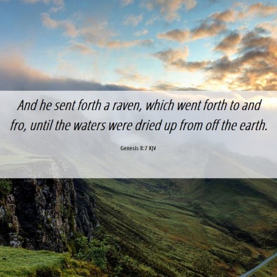 Picture 06 - Genesis 8:7 KJV - And he sent forth a raven, which went forth to - Bible Verse Picture