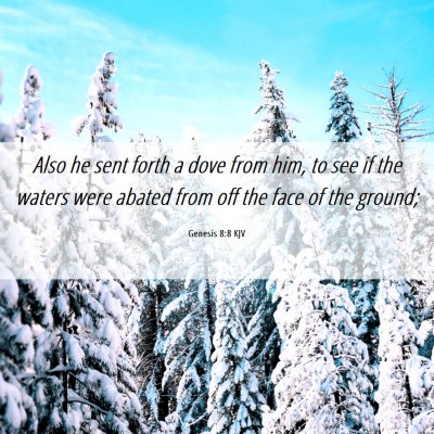 Picture 06 - Genesis 8:8 KJV - Also he sent forth a dove from him, to see if the - Bible Verse Picture