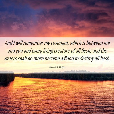 Picture 06 - Genesis 9:15 KJV - And I will remember my covenant, which is between - Bible Verse Picture
